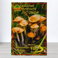 Міцелій гриба Опеньок Луговий, 10г